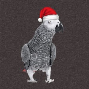 Meet your Posher, Jane